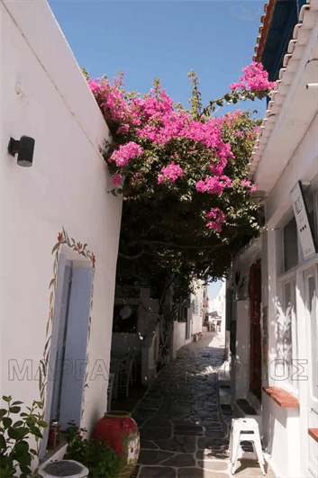 Βουκαμβίλιες, ασβεστωμένα πλακόστρωτα σοκάκια, παραδοσιακά καταστήματα..γνήσιο Κυκλαδίτικο περιβάλλον!