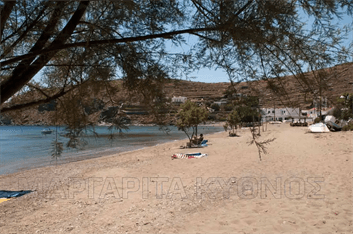 Κύθνος Παραλία Μεγάλη Άμμος, ξανθή άμμος και αλμυρίκια. Ένα είναι το σίγουρο!!! Θα την λατρέψετε