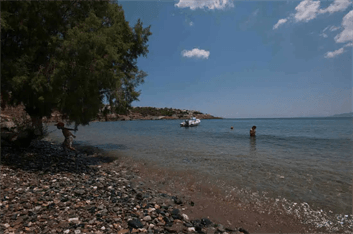 Κύθνος Παραλία Μεγάλη Άμμος είναι μοναδική για να απολαύσει κανείς το κολύμπι του. Στο νότια άκρη της παραλίας και ανάλογα με τον καιρό του χειμώνα μπορεί να συναντήσετε βότσαλα.