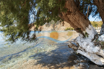 Αρκετά τα αλμυρίκια που προσφέρουν φυσική προστασία απο τον καλοκαιρινό ήλιο θα συναντήσει κανείς στην πανέμορφη παραλία Καλό Λιβάδι της Κύθνου.