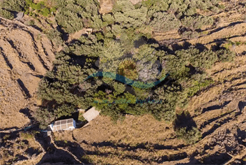 Φωτογραφία απο Ψιλά. Όαση θυμίζει η περιοχή γύρω από τα πλυσταριά του Μαθιά από τα δέντρα και τα φυτά που ποτίζονται από την πηγή.
